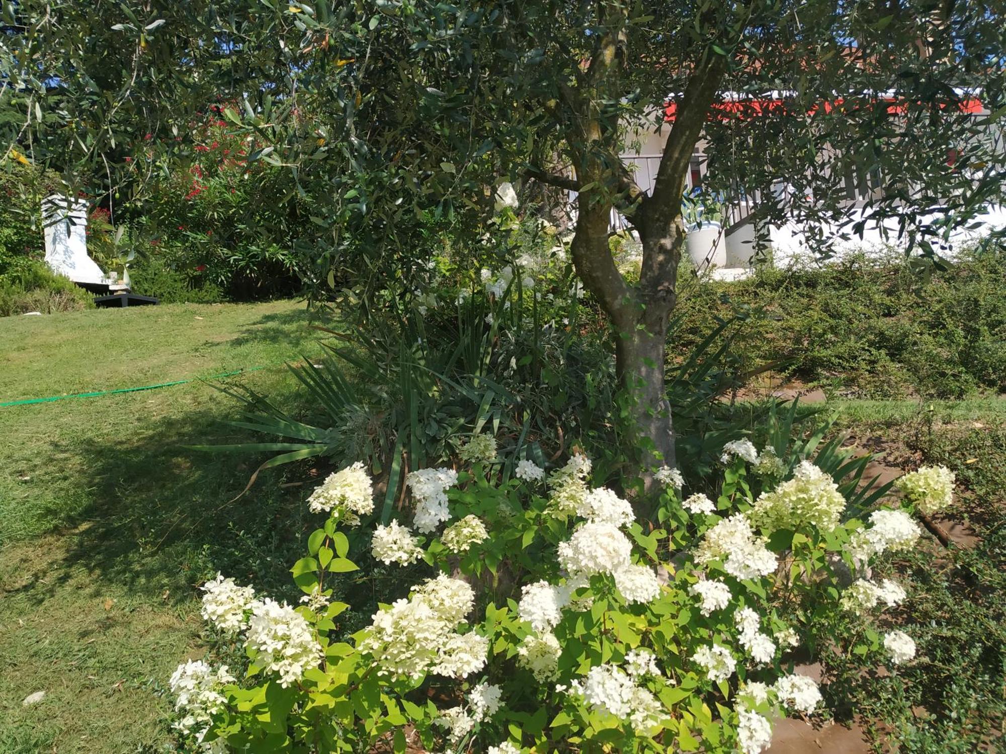 Casa Fellini Villa San Zeno di Montagna Exterior foto